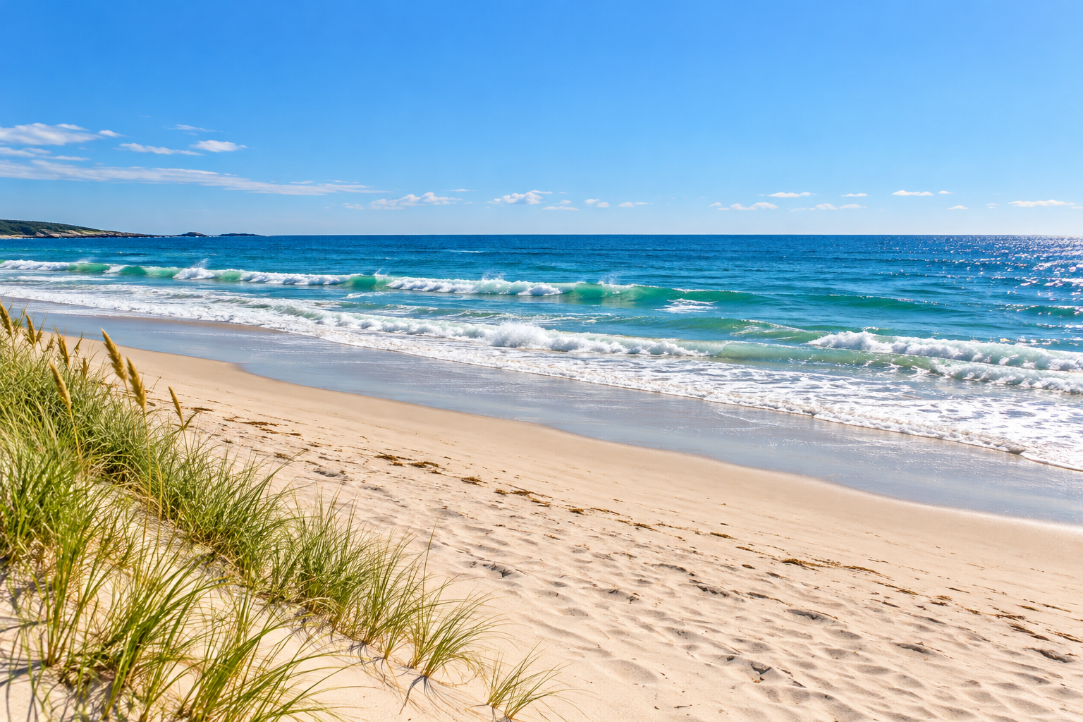 Sunny coastal beach with blue ocean, gentle surf, and dune grass — illustrative coastal scenery